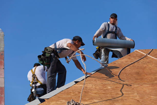 Best Storm Damage Roof Repair  in Dry Ridge, OH